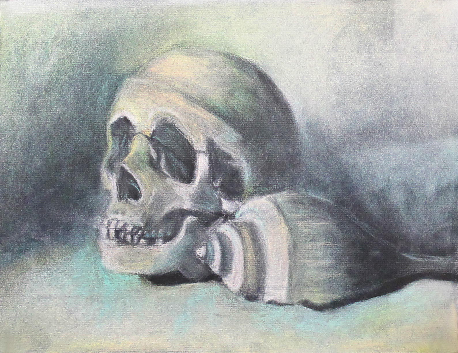 Skull with Conch